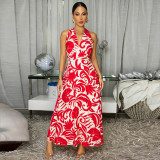 V Neck Halterneck Print Maxi Dress BY-7790