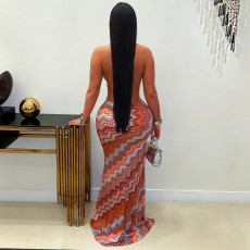 Print Halterneck Slim Maxi Dress BY-7727