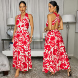V Neck Halterneck Print Maxi Dress BY-7790