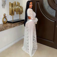 Mesh Lace Long Sleeve Bodysuit Skirt Suit BY-7707