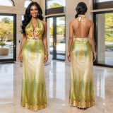 Print V Neck Halterneck Backless Maxi Dress BY-7721