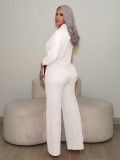 Long Sleeve Solid Color Two Piece Pants Set CH-26031