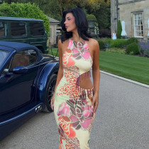 Print Sleeveless Maxi Dress GZJQ-K6D14440A