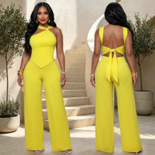 Solid Color Sleeveless Two Piece Pants Set BY-7796