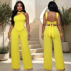 Solid Color Sleeveless Two Piece Pants Set BY-7796