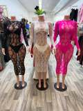 Pre Order: About 7 work days shipping See Through Mesh Midi Dress YUEM-202670