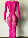 Pre Order: About 7 work days shipping See Through Mesh Midi Dress YUEM-202670