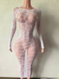 Pre Order: About 7 work days shipping See Through Mesh Midi Dress YUEM-202670