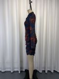 Print Mesh Long Sleeve Ruched Mini Dress GWDS-260631