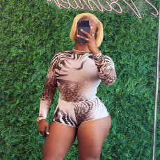 Leopard Print Mesh Top Two Piece Shorts Set MXBF-D26ST300