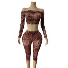 Mesh Print Two Piece Pants Set MEM-88718