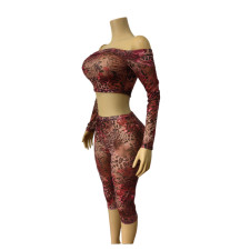 Mesh Print Two Piece Pants Set MEM-88718