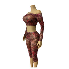 Mesh Print Two Piece Pants Set MEM-88718