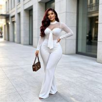 Mesh Patchwork Long Sleeve Jumpsuit GMYU-9262