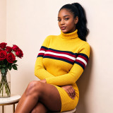 Plus Size Stripe High Collar Knits Sweater QMZF-1902