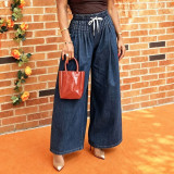 Plus Size Loose Pleated Wide Leg Jeans GYLN-6390