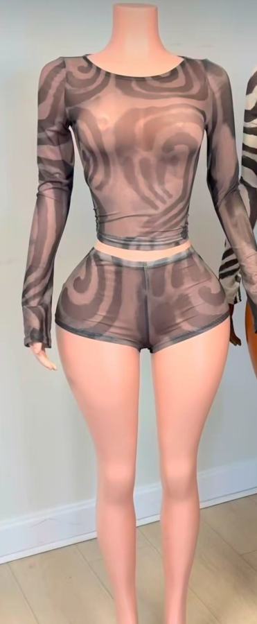 Long Sleeve Mesh Print Two Piece Shorts Set GFCF-1555