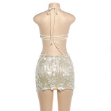Sexy Sequin Backless Halterneck Mini Dress DLSF-K6D16221A