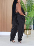 Halterneck Backless Solid Two Piece Pants Set HNIF-GY341