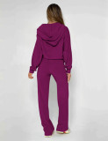 Solid Color Zipper Hooded Two Piece Pants Set YD-YM018