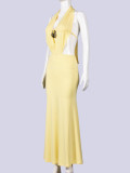 Halterneck Backless Solid Color Maxi Dress GNZD-11896DBM