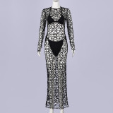 Mesh See Through Long Dress+Bikinis Suit GNZD-11930DBM