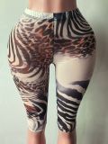 Pre Order: About 7 work days shipping Printed Mesh Seventh Pants YUEM-202684