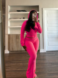 Solid Color Long Sleeve Hooded Two Piece Pants Set CH-24058