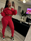 Solid Color Long Sleeve Pants 2 Piece Set CH-24059