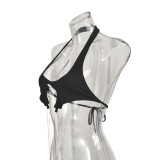 Sexy Halterneck Backless Top GNZD-31900THY