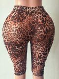 Pre Order: About 7 work days shipping Leopard Printed Mesh Seventh Pants YUEM-202687