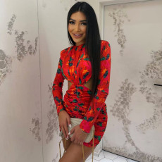 Long Sleeve Printed Ruched Mini Dress GJYO-JD305781