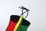 Color Block Sleeveless Halterneck Mini Dress GZJQ-K6D19110A