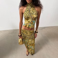 Printed Sleeveless Backless Top Two Piece Skirt Set DLSF-K6S16932A