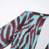 Deep V Neck Printed Long Sleeve Mini Dress GSZM-C26DS400