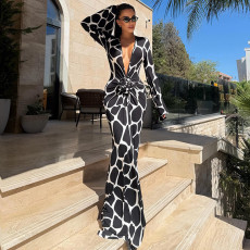 Deep V Neck Long Sleeve Printed Maxi Dress GZJQ-K6D20318A