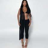 Mesh Patchwork Sexy Two Piece Pants Set GZJQ-K6S19268A