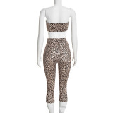 Leopard Printed Long Sleeve Three Piece Pants Set GDSF-D26ST401