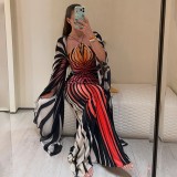 Zebra Printed Bat Sleeve Halterneck Maxi Dress DLSF-K6D18535A
