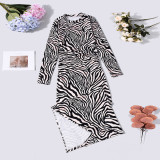 Zebra Stripe Long Sleeve Split Maxi Dress GNZD-60379DBZ
