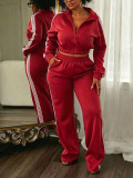 Lapel Zipper Long Sleeve Two Piece Pants Set HNIF-SR018