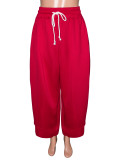 Solid Color Loose Drawstring Casual Pants  SH-391711