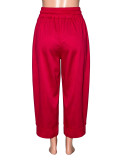 Solid Color Loose Drawstring Casual Pants  SH-391711