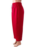 Solid Color Loose Drawstring Casual Pants  SH-391711