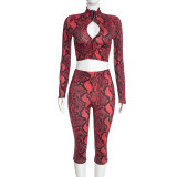 Printed Long Sleeve Hollow Out 2 Piece Set MXBF-J26ST478