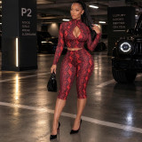 Printed Long Sleeve Hollow Out 2 Piece Set MXBF-J26ST478