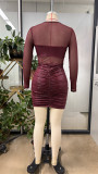 Mesh See Through Long Sleeve Mini Dress GHYX-TJY8174