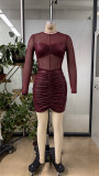 Mesh See Through Long Sleeve Mini Dress GHYX-TJY8174