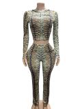 Leopard Printed Hooded Two Piece Pants Set GFCF-1504
