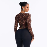 Leopard Printed Deep V Neck Top MXBF-J26TP482